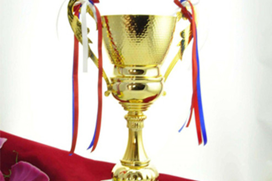 塘沽梦境园荣誉一